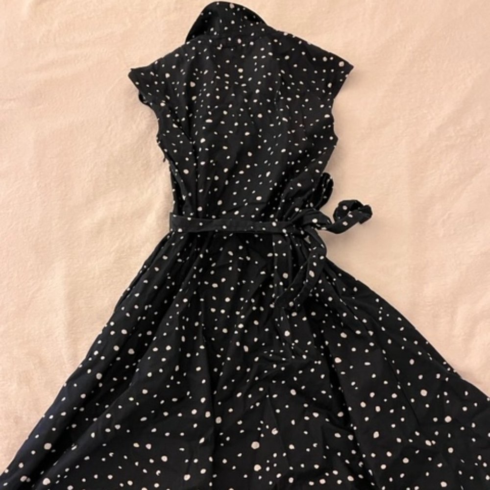 fit and flare polka dress